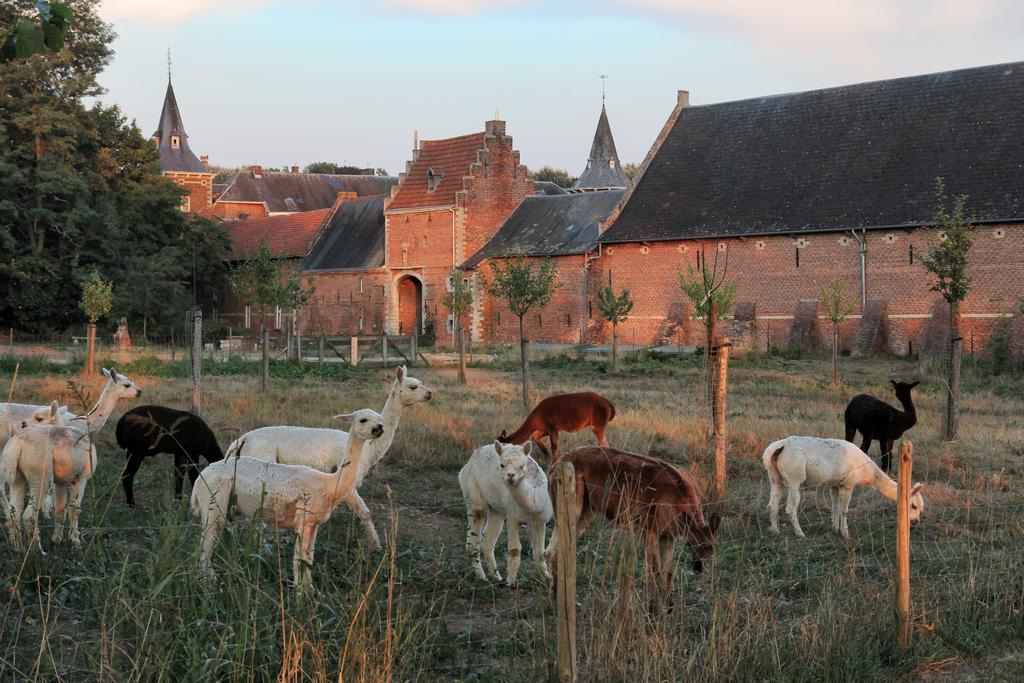 Ferienwohnung Kasteel Nieuwenhoven Sint-Truiden Exterior foto